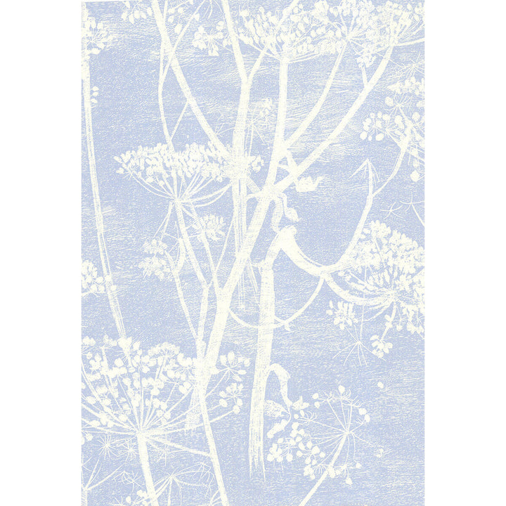Cow Parsley White/Blu by Cole & Son Wallcovering Cole & Son Wallcovering Cow Parsley White/BluWallcovering COLE & SON NEW CONTEMPORARY PAPER - 100% United Kingdom </p><p>Repeat: H: 0, V: 30 21 - Fabric Carolina -