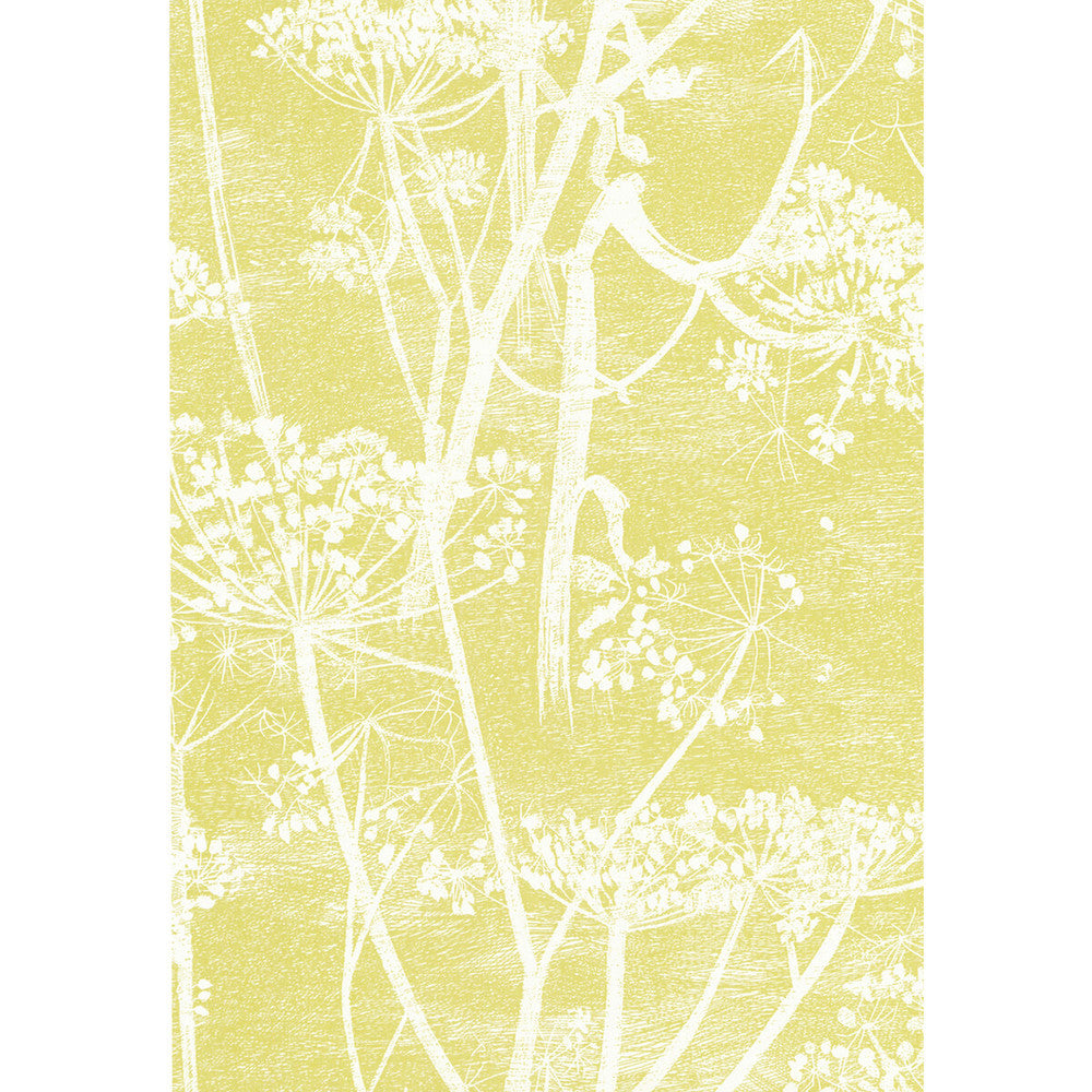 Cow Parsley White/Y by Cole & Son Designer Wallcovering COLE & SON NEW CONTEMPORARY PAPER - 100% United Kingdom Horizontal: 21 and Vertical: 30 21 - Swanky Fabrics -