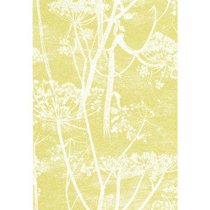 Cole & Son Wallpaper Cow Parsley White/Y