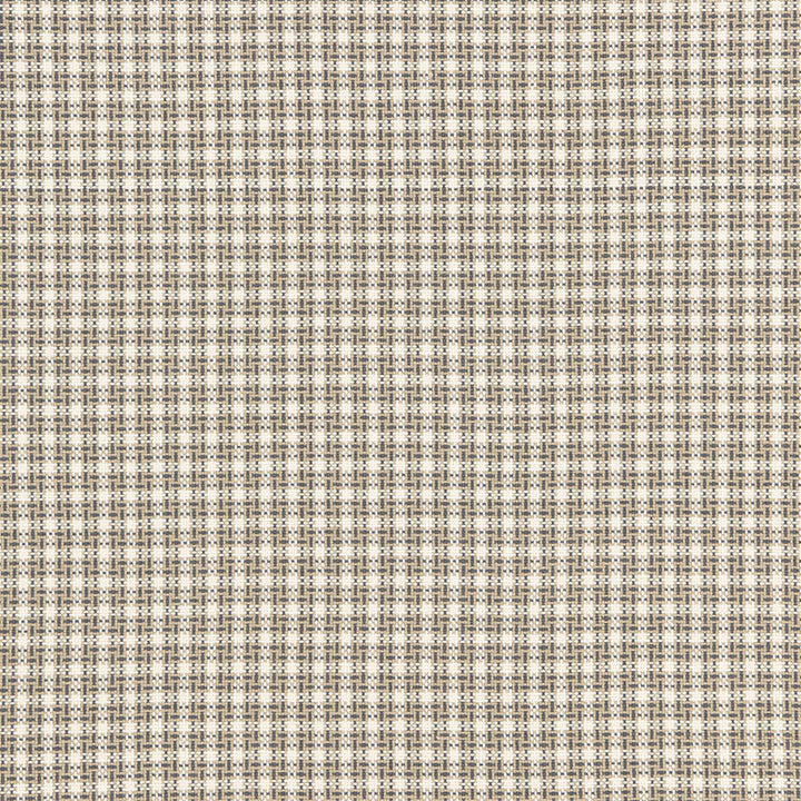 Abington Square Ash 67000 by Schumacher Designer Fabric CHROMA See Sample INDIA . </p><p>Repeat: Horizontal: 1 1/2" (4CM) and Vertical: 1 1/2" (4CM) 53" WIDE (135CM) - Swanky Fabrics -