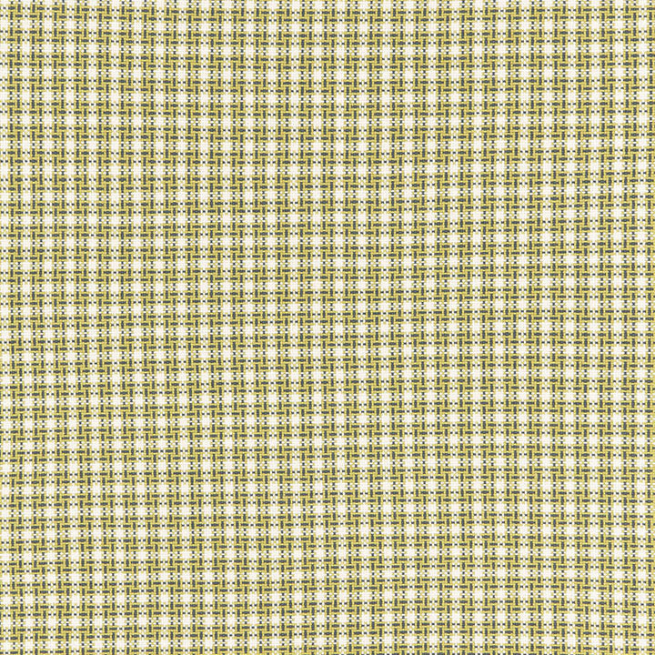 Abington Square Citron 67004 by Schumacher Fabric Schumacher Fabric Abington Square Citron 67004Fabric COTTON 100% INDIA </p><p>Repeat: H: HORZ. 1 1/2" (4CM) , V: VERT. 1 1/2" (4CM) 53 - Fabric Carolina -
