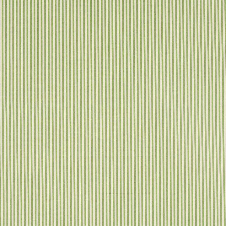 Charee Silk Stripe Green 60925 by Schumacher Designer Fabric New Traditional - Swanky Fabrics -