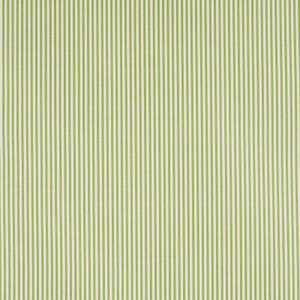 Schumacher Fabric Charee Silk Stripe Green 60925