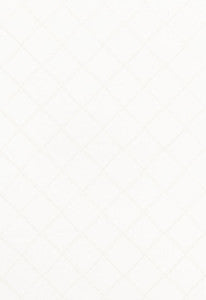 Schumacher Fabric Gemma Sheer Blanc 67180