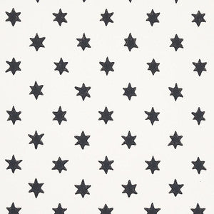 Schumacher Wallpaper Astral Black 5013140