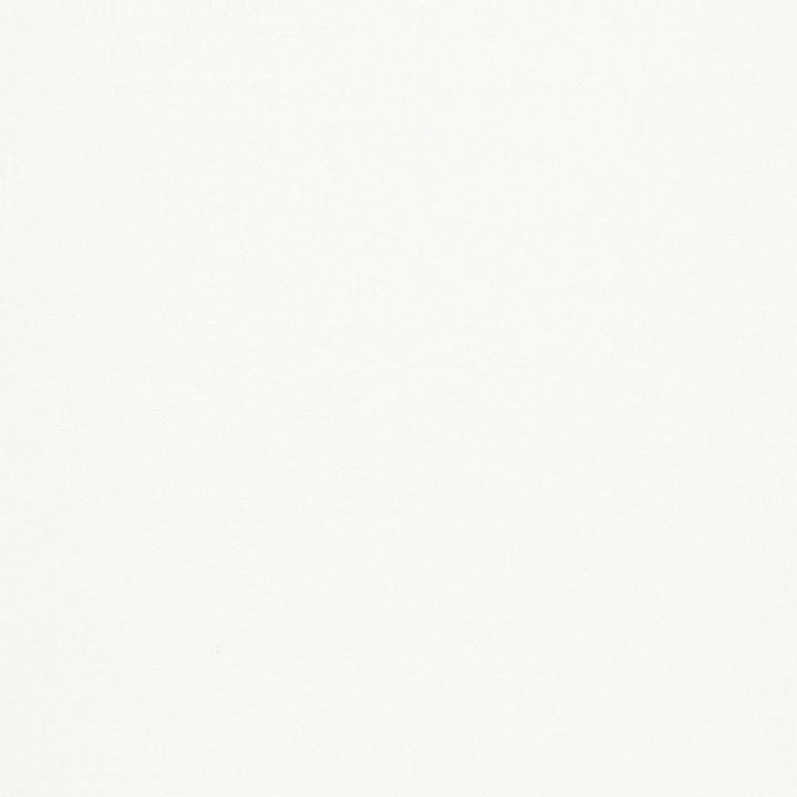 Desert Weave Blanc 67295 by Schumacher Fabric Schumacher Fabric Desert Weave Blanc 67295Fabric LINEN 100% ITALY </p><p>Repeat: H: , V: 54.25 - Fabric Carolina -