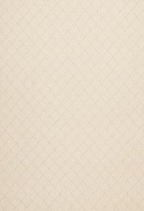 Schumacher Fabric Archipelago Flax 67470