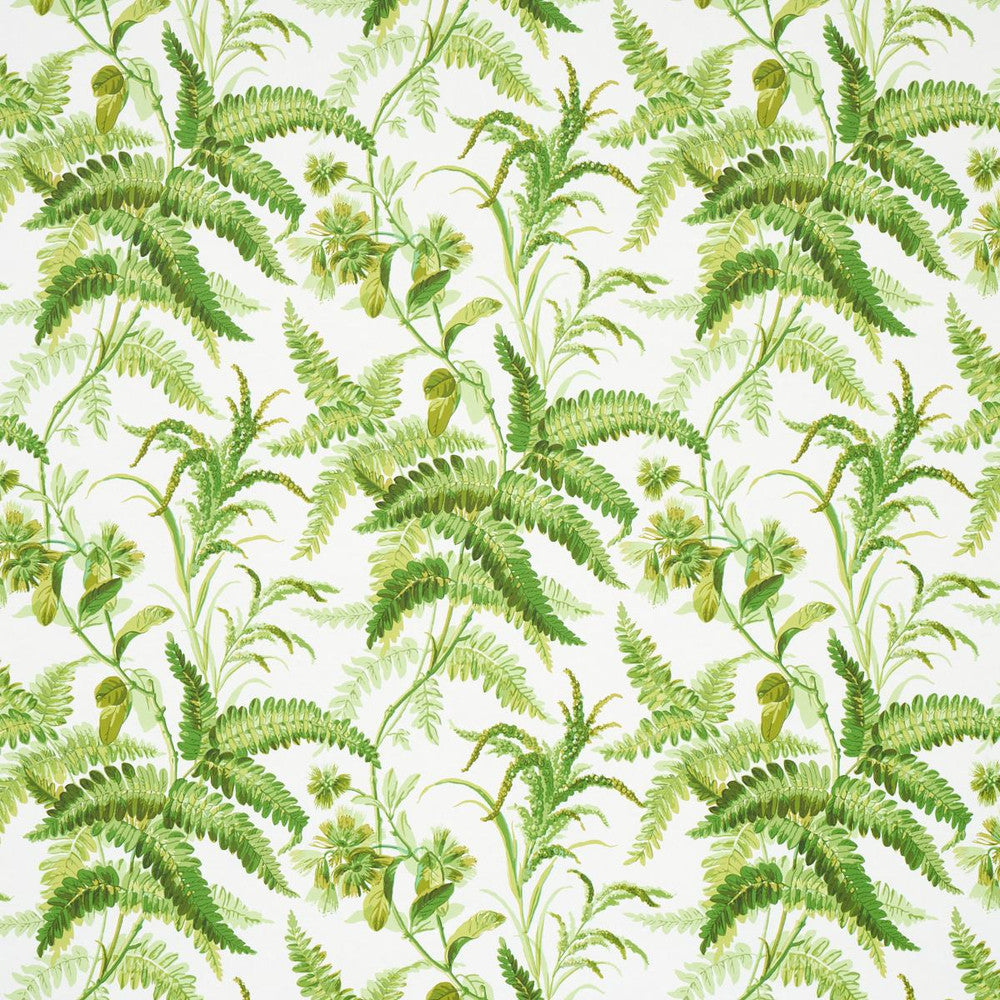 Myers Fern Tropical 5013231 by Schumacher Designer Wallpaper Schumacher Classics 54.5" - Swanky Fabrics -