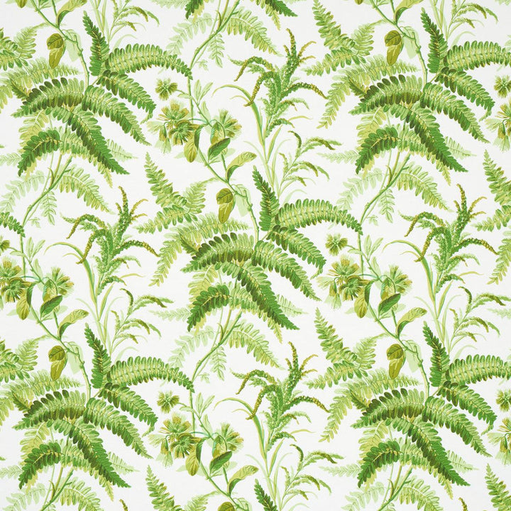 Myers Fern Tropical 5013231 by Schumacher Designer Wallpaper Schumacher Classics 54.5" - Swanky Fabrics -