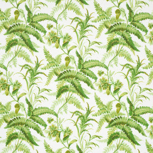 Schumacher Wallpaper Myers Fern Tropical 5013231