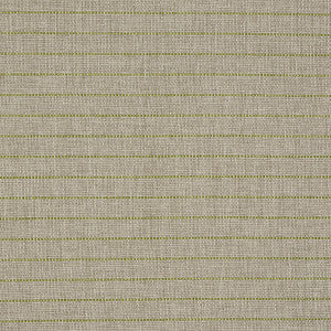 Schumacher Fabric Manning Stripe Indoor/Outdoor Lime 71813
