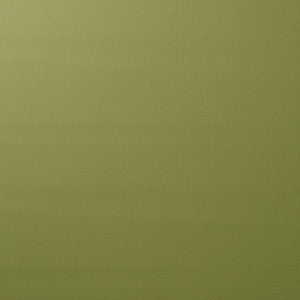Schumacher Fabric Vegan Leather Indoor/Outdoor Moss 80907