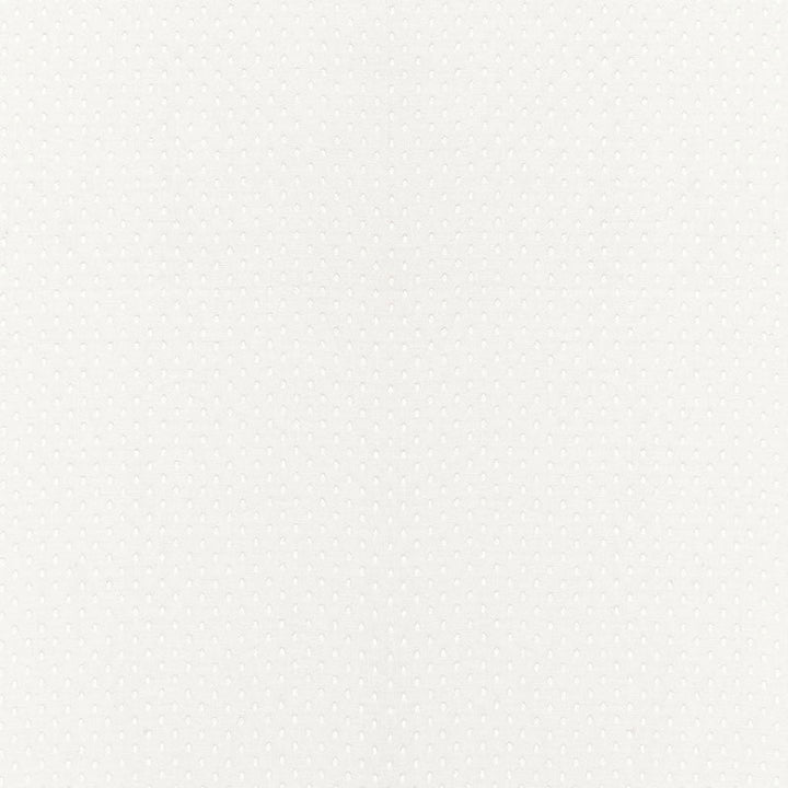 Donatello Sheer Ivory 67670 by Schumacher Designer Fabric FIRENZE / SHEERS See Sample INDIA . </p><p>Repeat: Horizontal: 1/4" (1CM) and Vertical: 5/8" (2CM) 54" WIDE (137CM) - Swanky Fabrics -