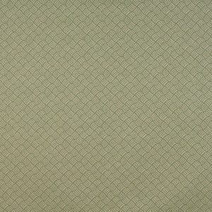 Charlotte Fabric 6769 Ivy/Metro