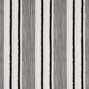 Schumacher Fabric Billy Indoor/Outdoor Black 81110