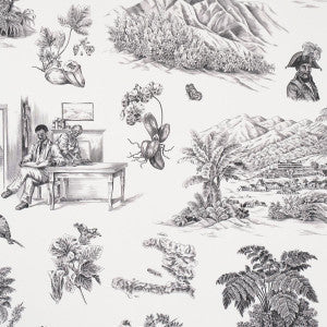 Schumacher Wallpaper Toussaint Toile Black On Ivory 5013770
