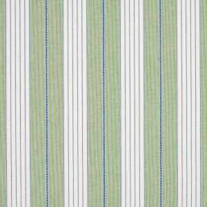 Schumacher Fabric Audrey Stripe Green 71376