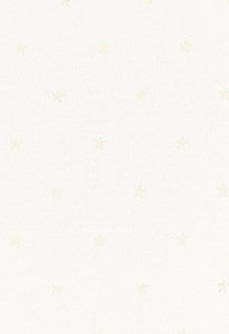 Schumacher Fabric Vincenzo Embroidery Ivory 67811