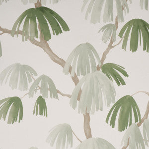 Schumacher Wallpaper Weeping Pine Sage 5008332