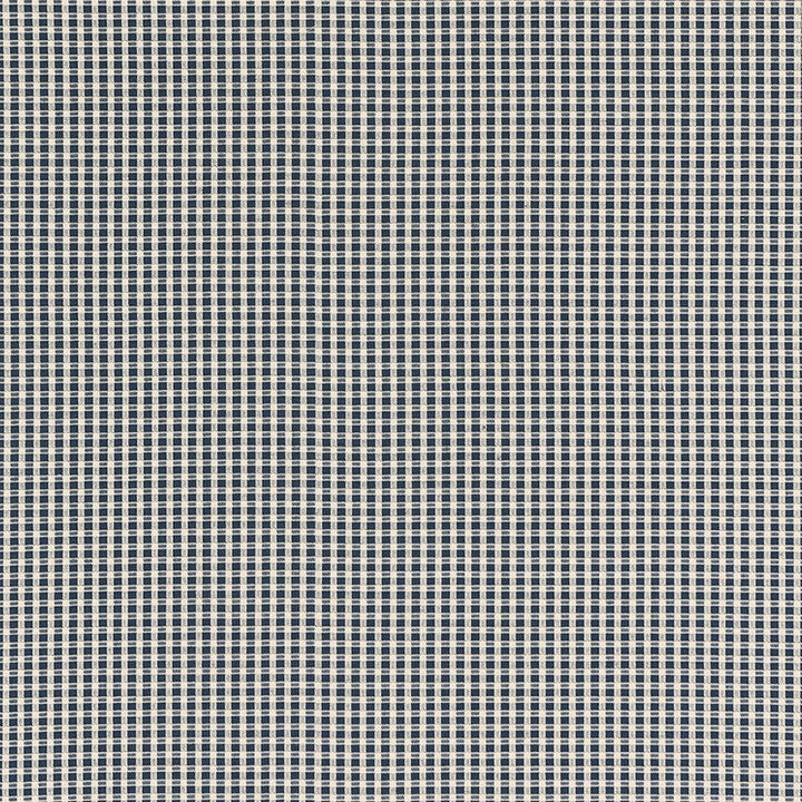 Aruba Check Navy 68040 by Schumacher Fabric Schumacher Fabric Aruba Check Navy 68040Fabric COTTON 100% INDIA </p><p>Repeat: H: HORZ. 3/8" (1CM) , V: VERT. 3/8" (1CM) 53 - Fabric Carolina -