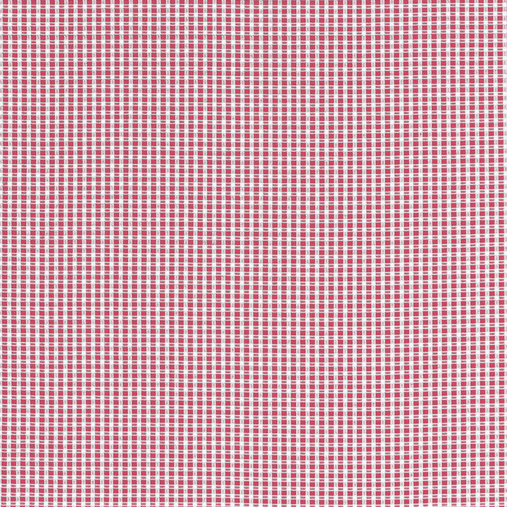 Aruba Check Azalea 68044 by Schumacher Designer Fabric CALYPSO PLAIDS & CHECKS COTTON 100% INDIA MARTINDALE 26,000 </p><p>Repeat: Horizontal: 3/8" (1CM) and Vertical: 3/8" (1CM) 53 - Swanky Fabrics -