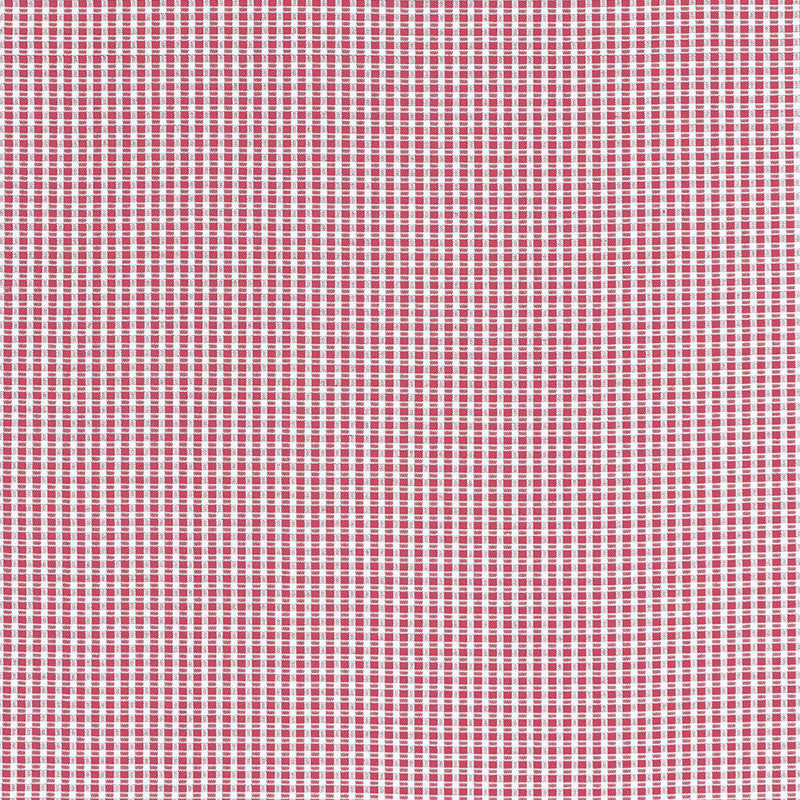 Aruba Check Azalea 68044 by Schumacher Designer Fabric CALYPSO PLAIDS & CHECKS See Sample INDIA HEAVY DUTY </p><p>Repeat: Horizontal: 3/8" (1CM) and Vertical: 3/8" (1CM) 53" WIDE (135CM) - Swanky Fabrics -