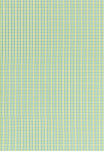 Schumacher Fabric Bahama Check Lagoon 68050