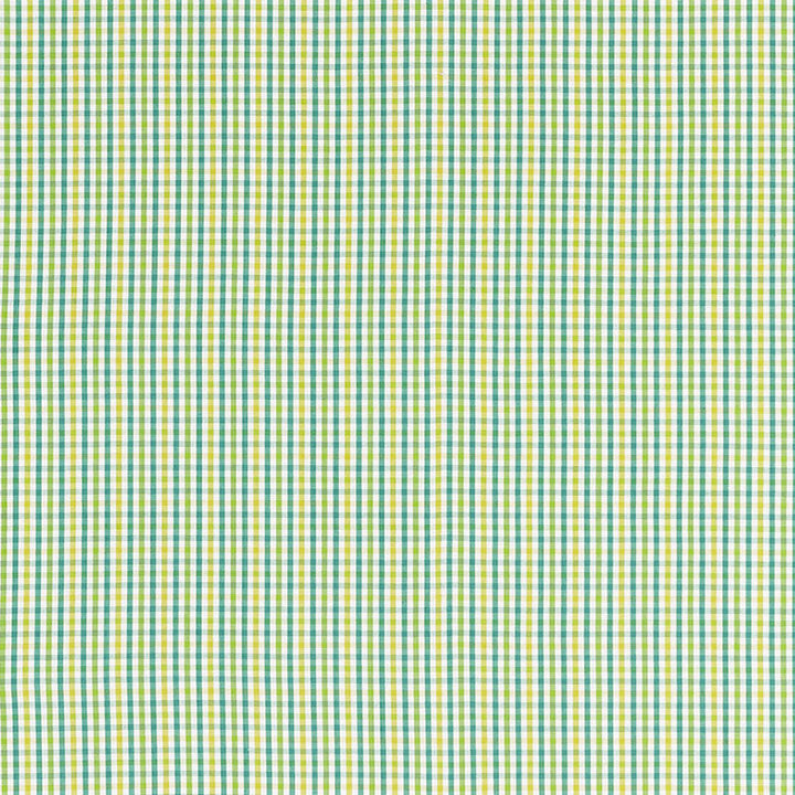 Bahama Check Lagoon 68050 by Schumacher Designer Fabric CALYPSO PLAIDS & CHECKS See Sample INDIA MEDIUM DUTY </p><p>Repeat: Horizontal: 1 3/8" (3CM) and Vertical: 1 3/8" (3CM) 54 1/4" WIDE (138CM) - Swanky Fabrics -