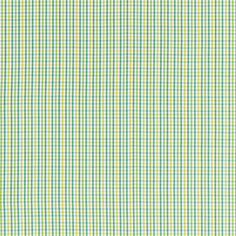 Bahama Check Lagoon 68050 by Schumacher Fabric Schumacher Fabric Bahama Check Lagoon 68050Fabric COTTON 100% INDIA </p><p>Repeat: H: HORZ. 1 3/8" (3CM) , V: VERT. 1 3/8" (3CM) 54.25 - Fabric Carolina -