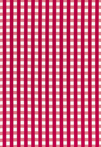 Schumacher Fabric Bermuda Check Azalea 68062