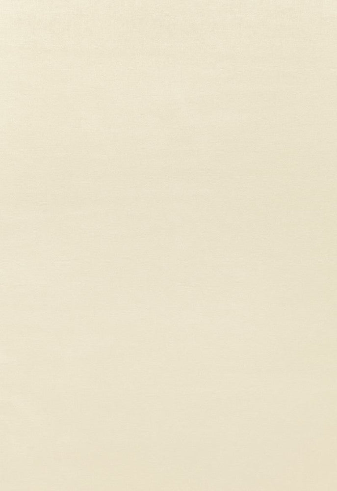 Sophia Velvet Champagne 68111 by Schumacher Designer Fabric Sophia-Velvet 61% Cotton, 39% Modal Wyzenbeek 20,000 Horizontal: - and Vertical: - 55 - Swanky Fabrics -