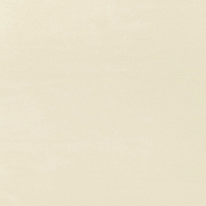 Sophia Velvet Champagne 68111 by Schumacher Fabric Schumacher Fabric Sophia Velvet Champagne 68111Fabric COTTON 61% NETHERLANDS </p><p>Repeat: H: , V: 55 - Fabric Carolina -