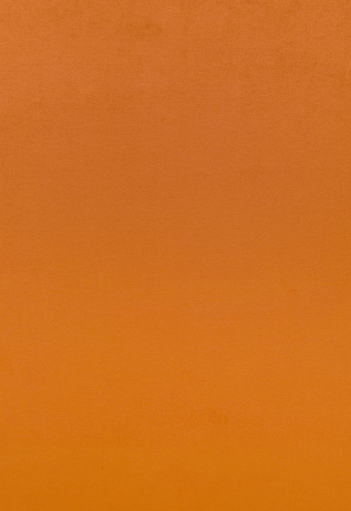 Sophia Velvet Valencia 68132 by Schumacher Designer Fabric Sophia-Velvet 61% Cotton, 39% Modal Wyzenbeek 20,000 Horizontal: - and Vertical: - 55 - Swanky Fabrics -
