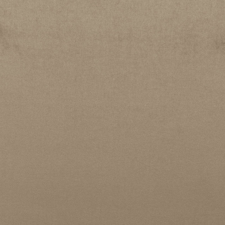 Sophia Velvet Mushroom 68161 by Schumacher Fabric Schumacher Fabric Sophia Velvet Mushroom 68161Fabric COTTON 61% NETHERLANDS </p><p>Repeat: H: , V: 55 - Fabric Carolina -