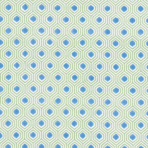 Schumacher Fabric Otis Hand Print Green & Blue 180371