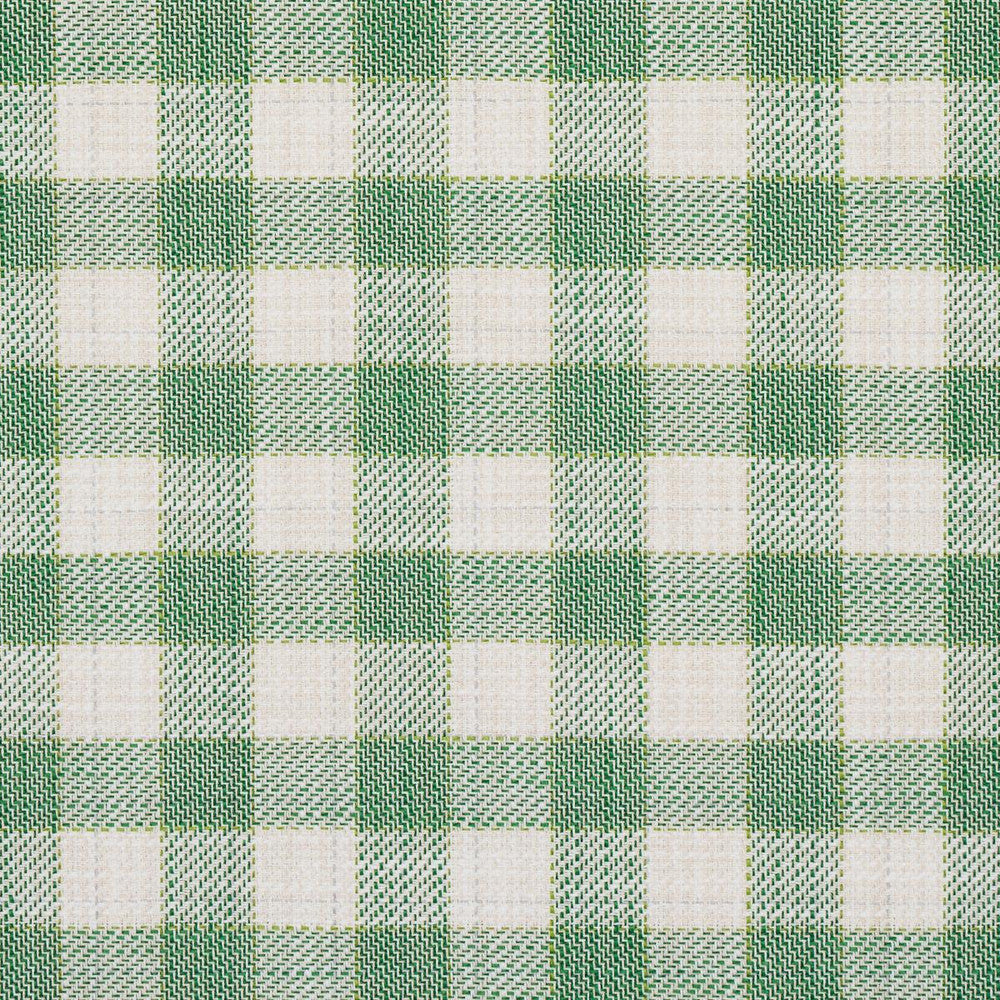 Martina Plaid Indoor/Outdoor Green 81411 by Schumacher Designer Fabric Easy Elements 9.0" - Swanky Fabrics -