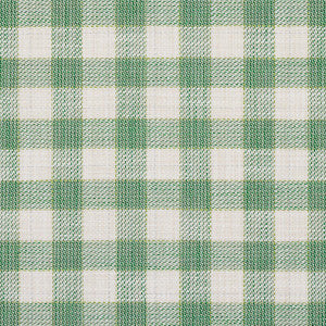 Schumacher Fabric Martina Plaid Indoor/Outdoor Green 81411