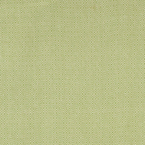 Schumacher Fabric Sofia Diamond Grass 68307