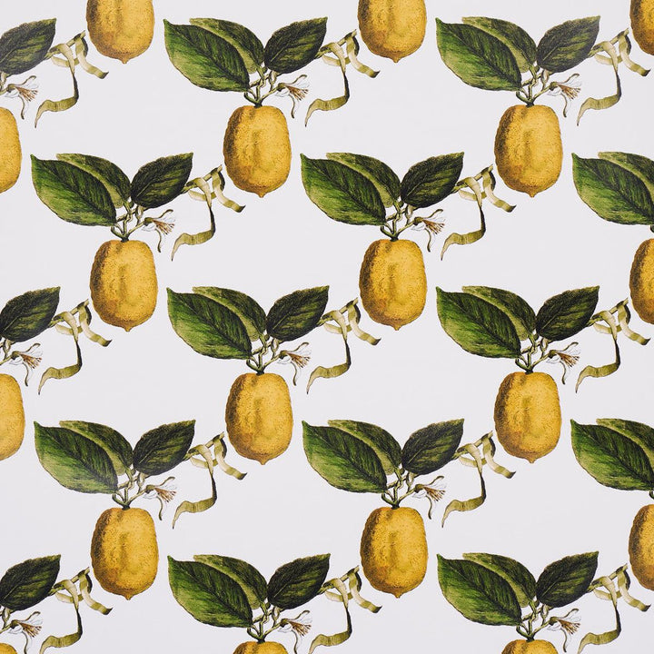 Le Citron Ivory 5014280 by Schumacher Designer Wallpaper Johnson Hartig 10.8" - Swanky Fabrics -