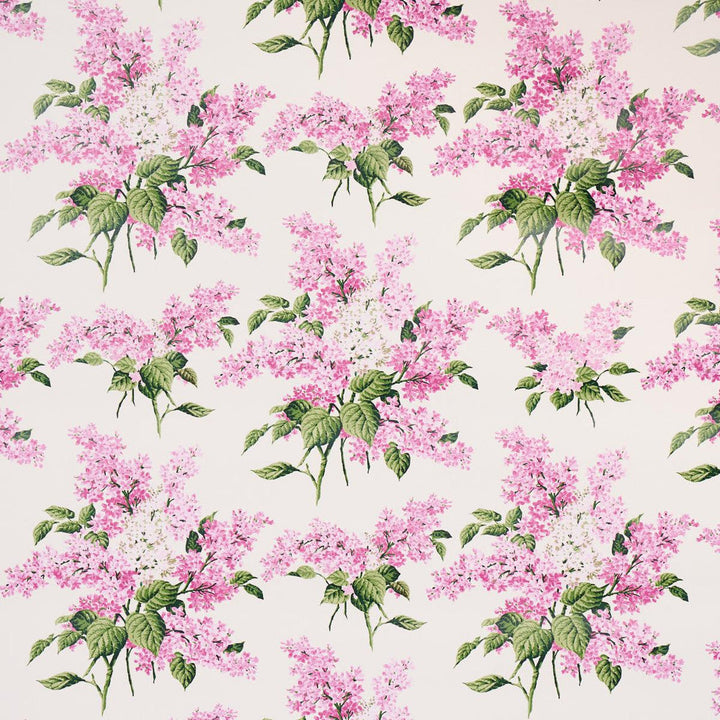 Proust'S Lilacs Pink 5014312 by Schumacher Designer Wallpaper Johnson Hartig 54.0" - Swanky Fabrics -