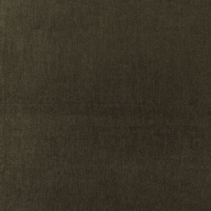 Whistler Velvet Shadow 68364 by Schumacher Fabric Schumacher Fabric Whistler Velvet Shadow 68364Fabric COTTON 100% ITALY </p><p>Repeat: H: , V: 55.125 - Fabric Carolina -