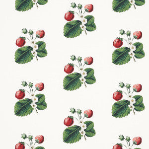 Schumacher Fabric Strawberry Hill White 180640