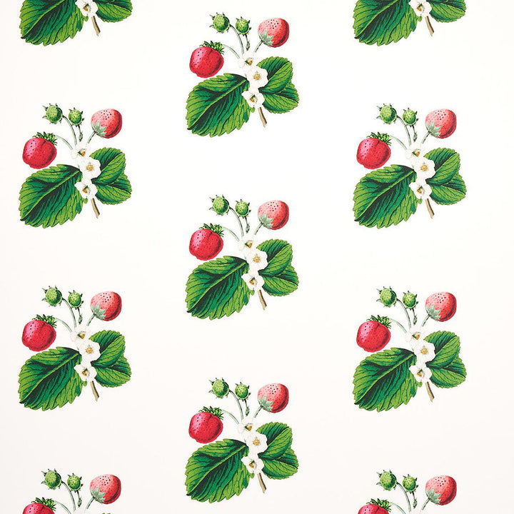 Strawberry Hill White 5014320 by Schumacher Designer Wallpaper Johnson Hartig 6.88" - Swanky Fabrics -