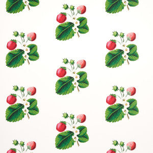 Schumacher Wallpaper Strawberry Hill White 5014320