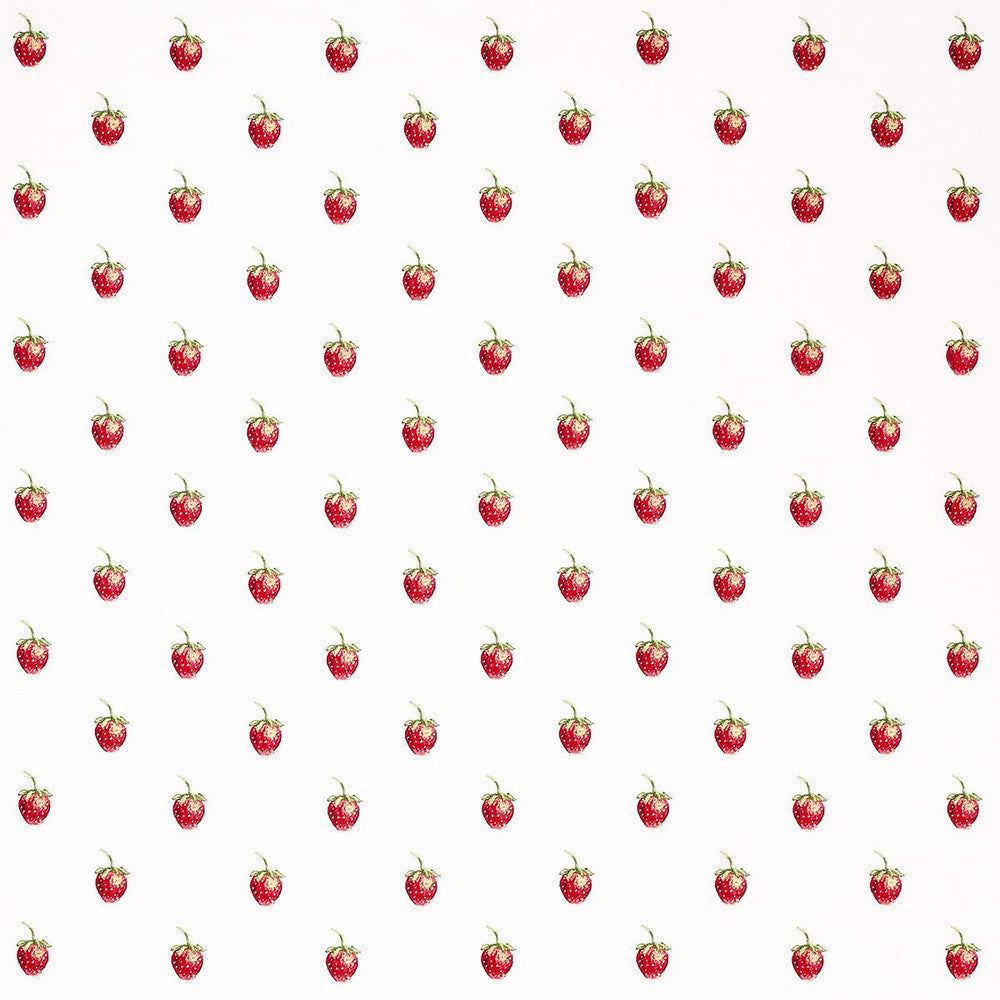 Freshie Fresh Ivory 82280 by Schumacher Designer Fabric Johnson Hartig 8.0" - Swanky Fabrics -