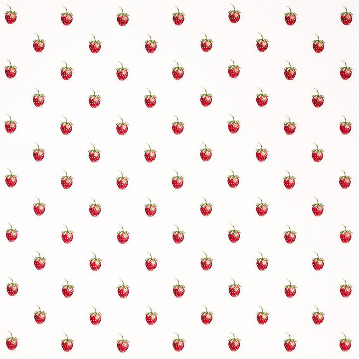 Freshie Fresh Ivory 82280 by Schumacher Designer Fabric Johnson Hartig 8.0" - Swanky Fabrics -