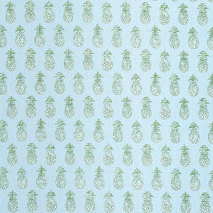 Schumacher Fabric Pia Cove Indoor/Outdoor Aquamarine 181020