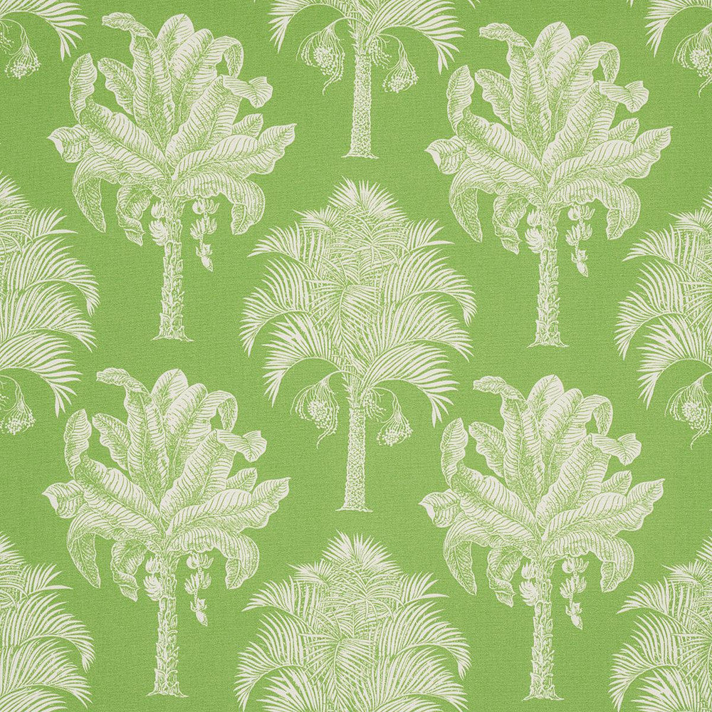 Grand Palms Indoor/Outdoor Green 180960 by Schumacher Designer Fabric Swing Time Indoor/Outdoor 13.62" - Swanky Fabrics -