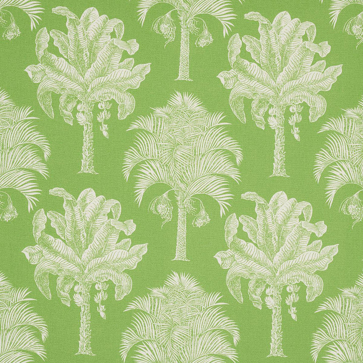 Grand Palms Indoor/Outdoor Green 180960 by Schumacher Designer Fabric Swing Time Indoor/Outdoor 13.62" - Swanky Fabrics -