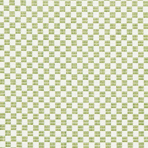 Schumacher Fabric Elkhart Leaf 76744